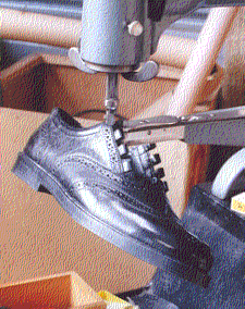 brogue1.gif illustration