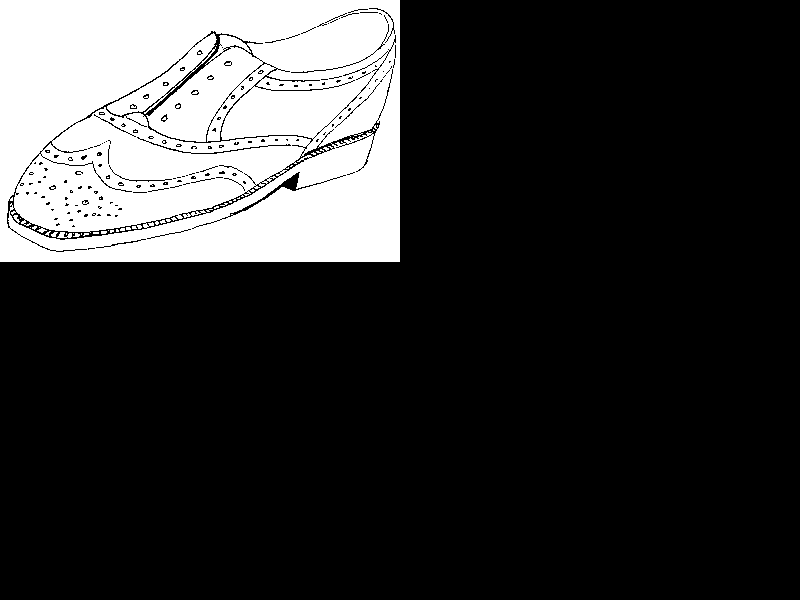 shoegood.gif illustration