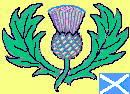 Thistle.jpg